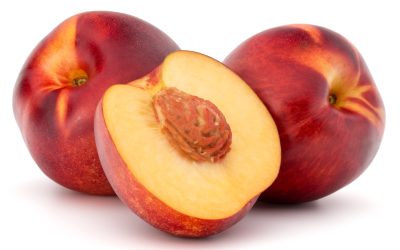 Week by Week 15 Week 14 – Nectarine