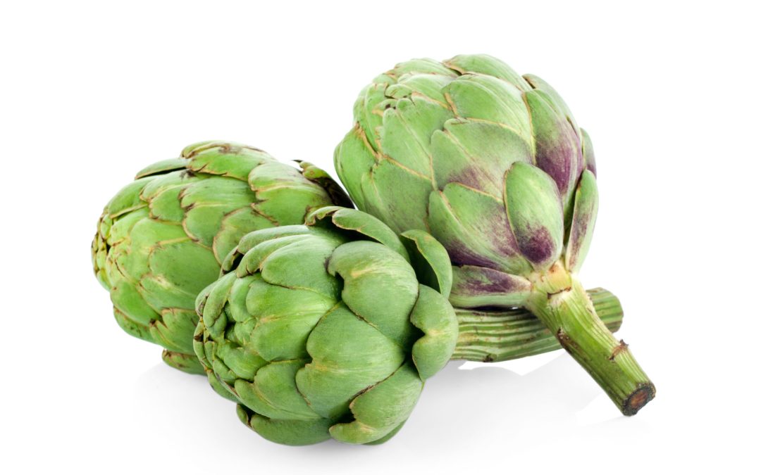 Week 20 – Artichoke