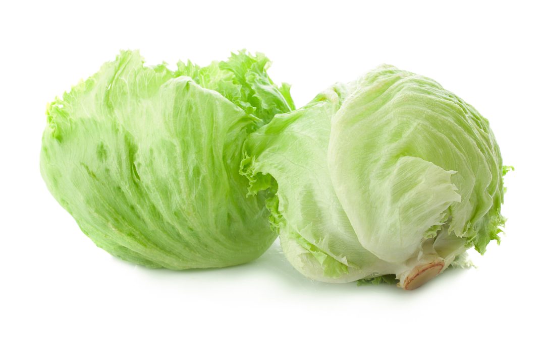Week 26 – Head of Lettuce