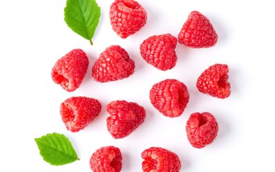 Week by Week 4 Week 8 – Raspberry