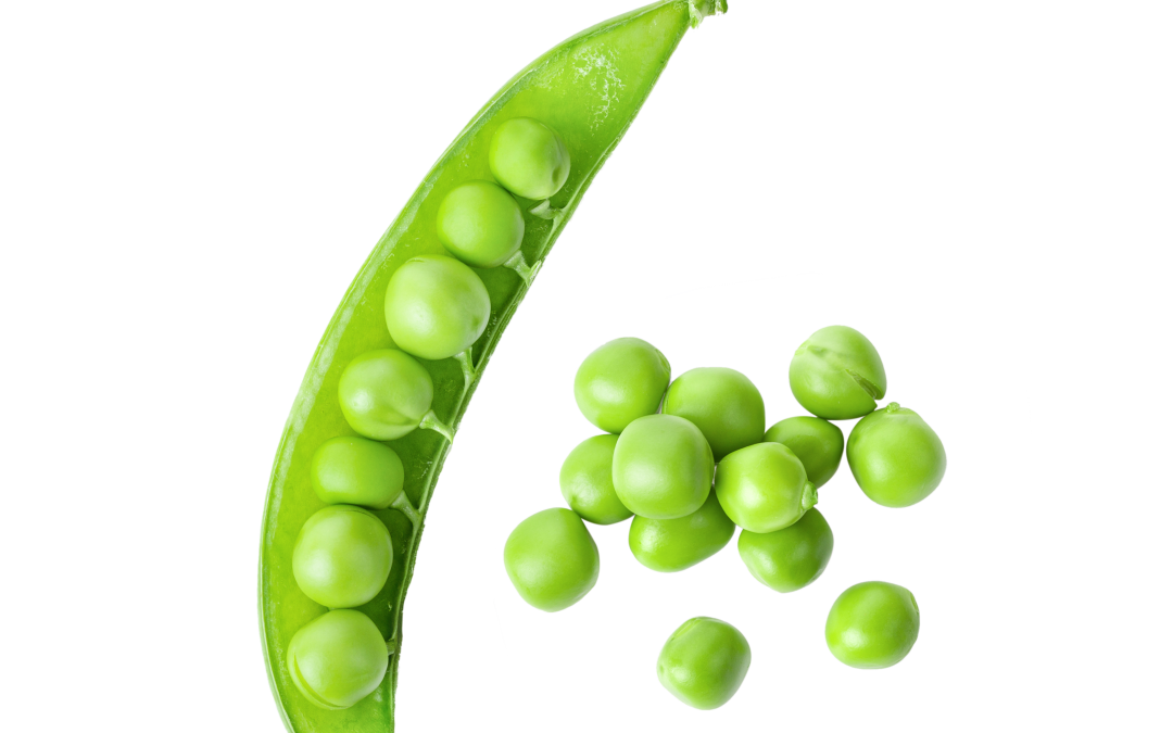 AdobeStock 545156613