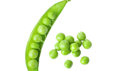 Week by Week 6 Week 6 – Sweet Pea