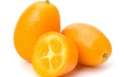 Week by Week 2 Week 10 – Kumquat